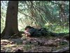 100_1616.jpg