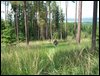 100_1619.jpg